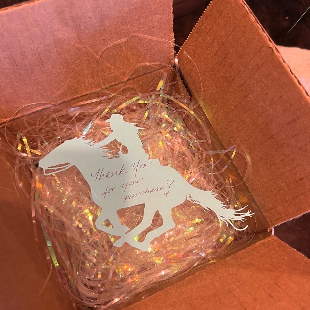 Horse and Cowgirl Racing Die Cuts